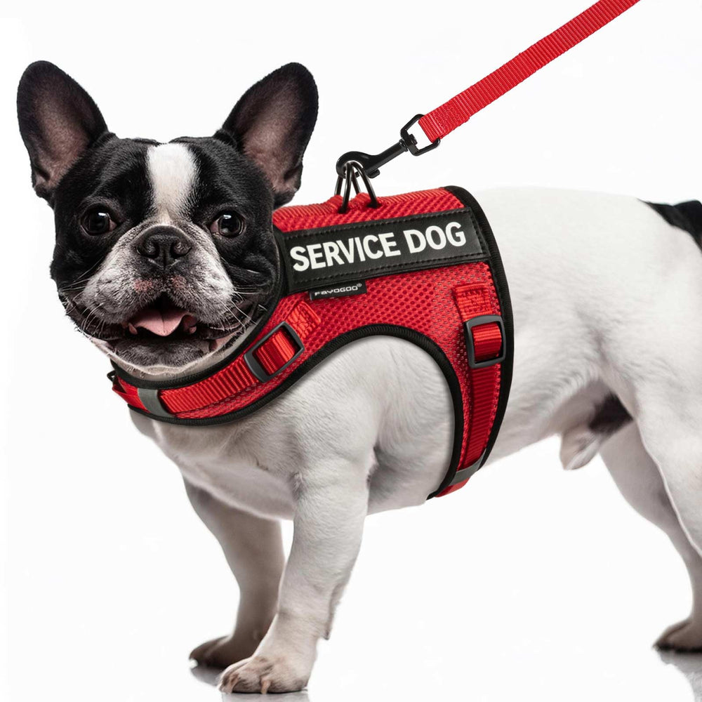 Arnés de servicio FAYOGOO para perro grande con malla transpirable, ideal para paseos comodos.