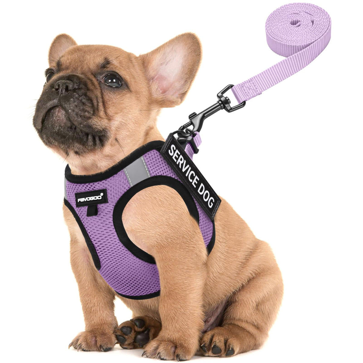 FAYOGOO arnés de servicio para perro pequeño, ligero y cómodo para paseos.