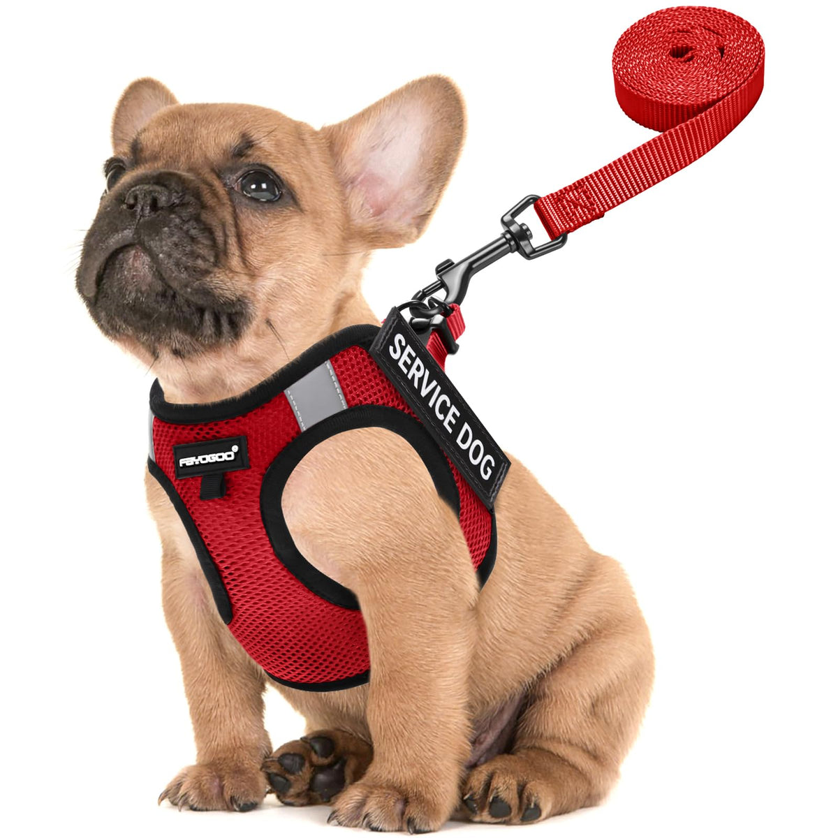 Arnés de servicio FAYOGOO para perro pequeño, ligero y cómodo para paseos.