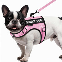 Arnés FAYOGOO para perro pequeño con malla aire: comodidad fresca