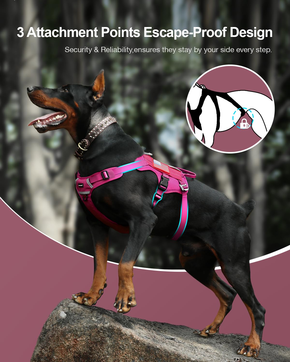 Arnés Fayogoo para perro mediano con asa removible para control cercano