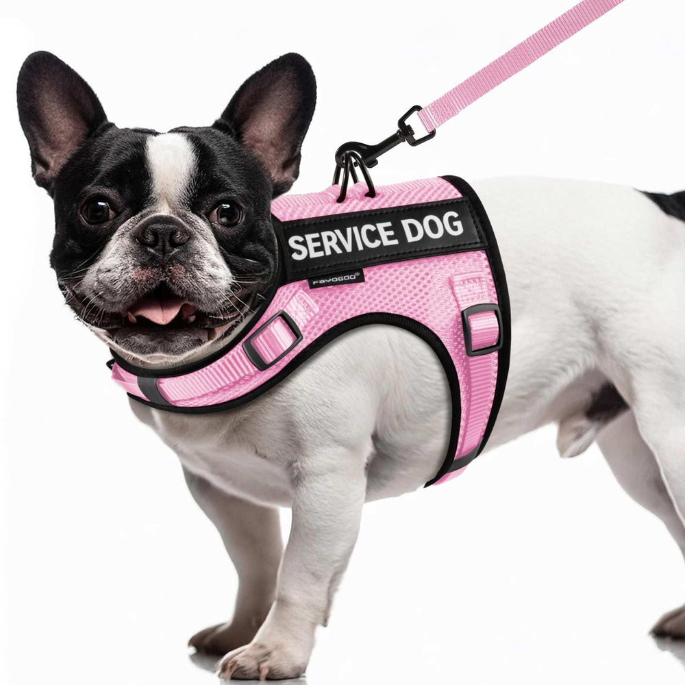Chaleco Fayogoo para perro pequeño con malla transpirable