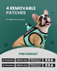 FAYOGOO parches removibles, seis piezas para identificar entrenamiento o servicio.