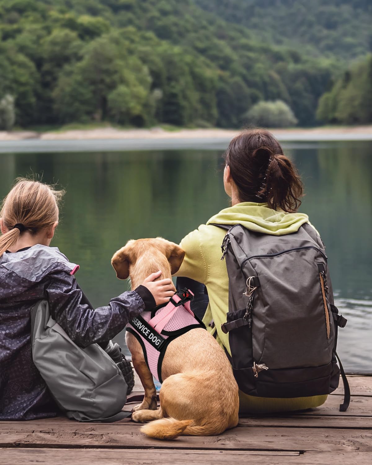 FAYOGOO arnés de servicio para perros: incluye 6 parches removibles para señalizar servicio o entrenamiento.