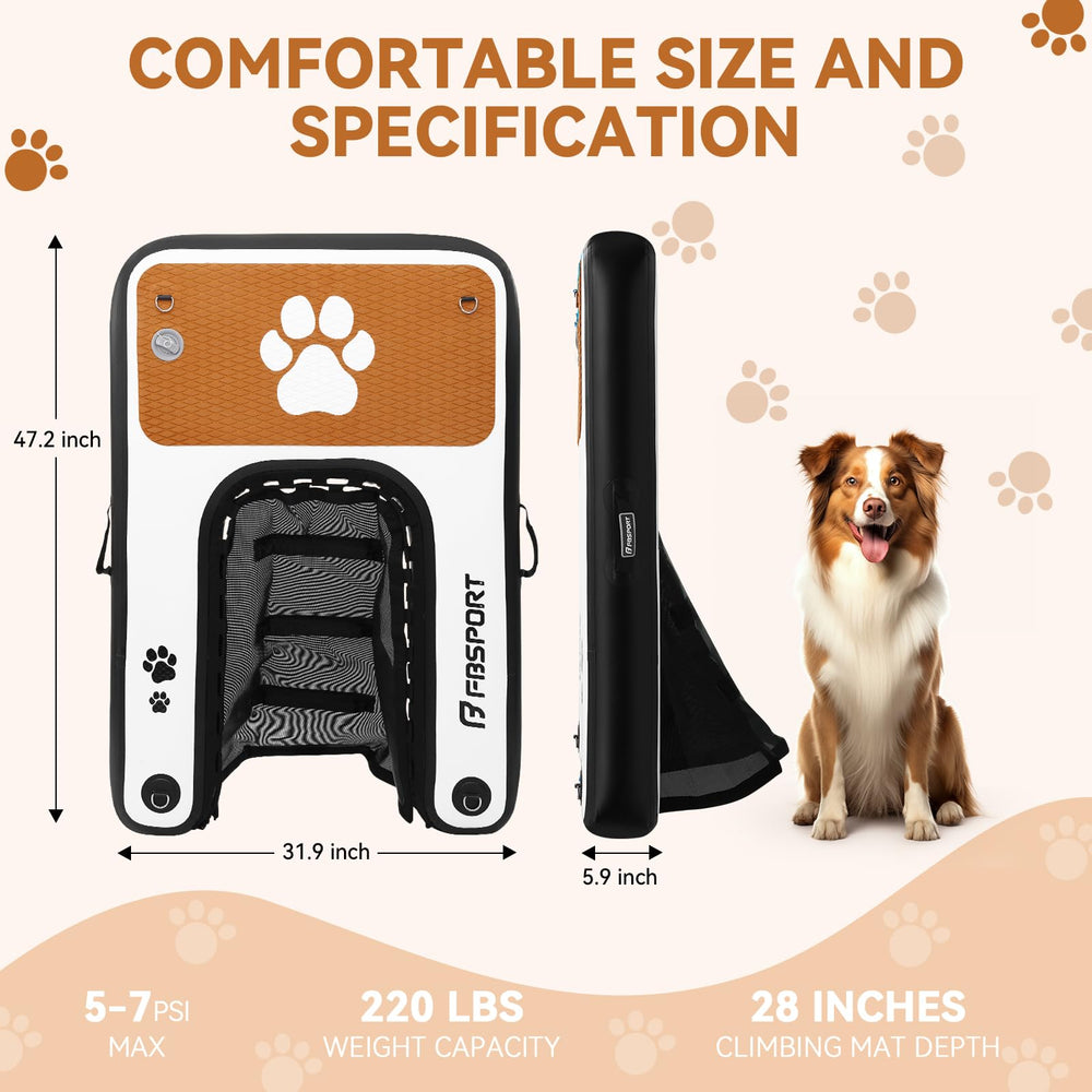 FBSPORT rampa inflable para perros en piscina, uso cómodo
