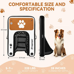 FBSPORT rampa inflable para perros en piscina, uso cómodo