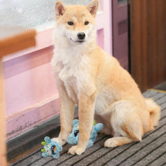 FCCUM juguete perro dientes saludables, azul, favorece la masticación y la higiene bucal.