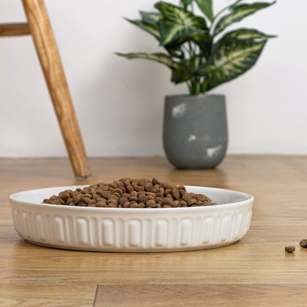 FE FUN ELEMENTS cuenco capacidad 89oz para agua o comida.