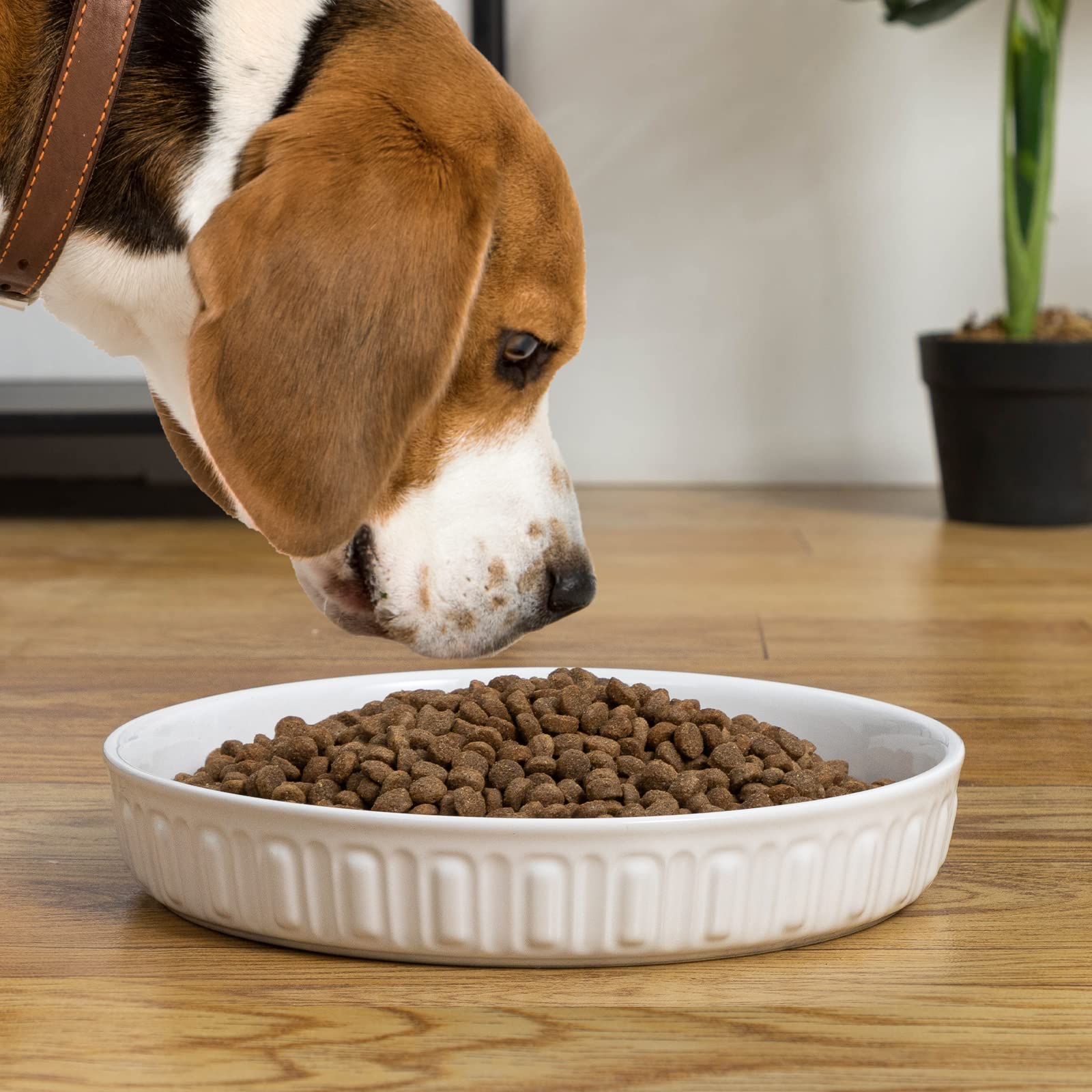 FE FUN ELEMENTS cuenco multiproposito para perros, gatos y aves.