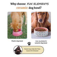 FE FUN ELEMENTS tazón apto para lavavajillas y microondas, cerámica.