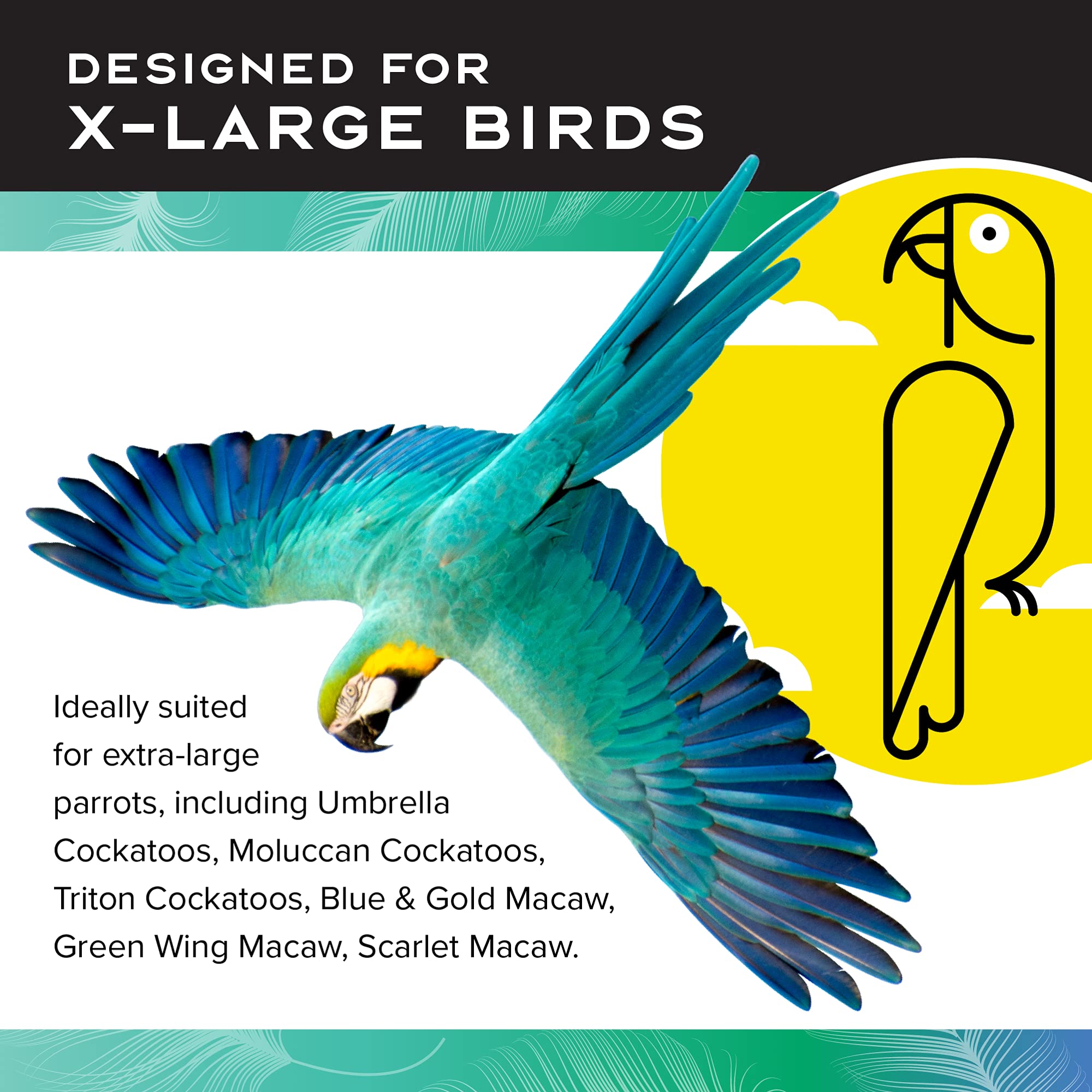 Featherland Paradise Knots N Blocks: tamaño 14.5 pulgadas para aves grandes
