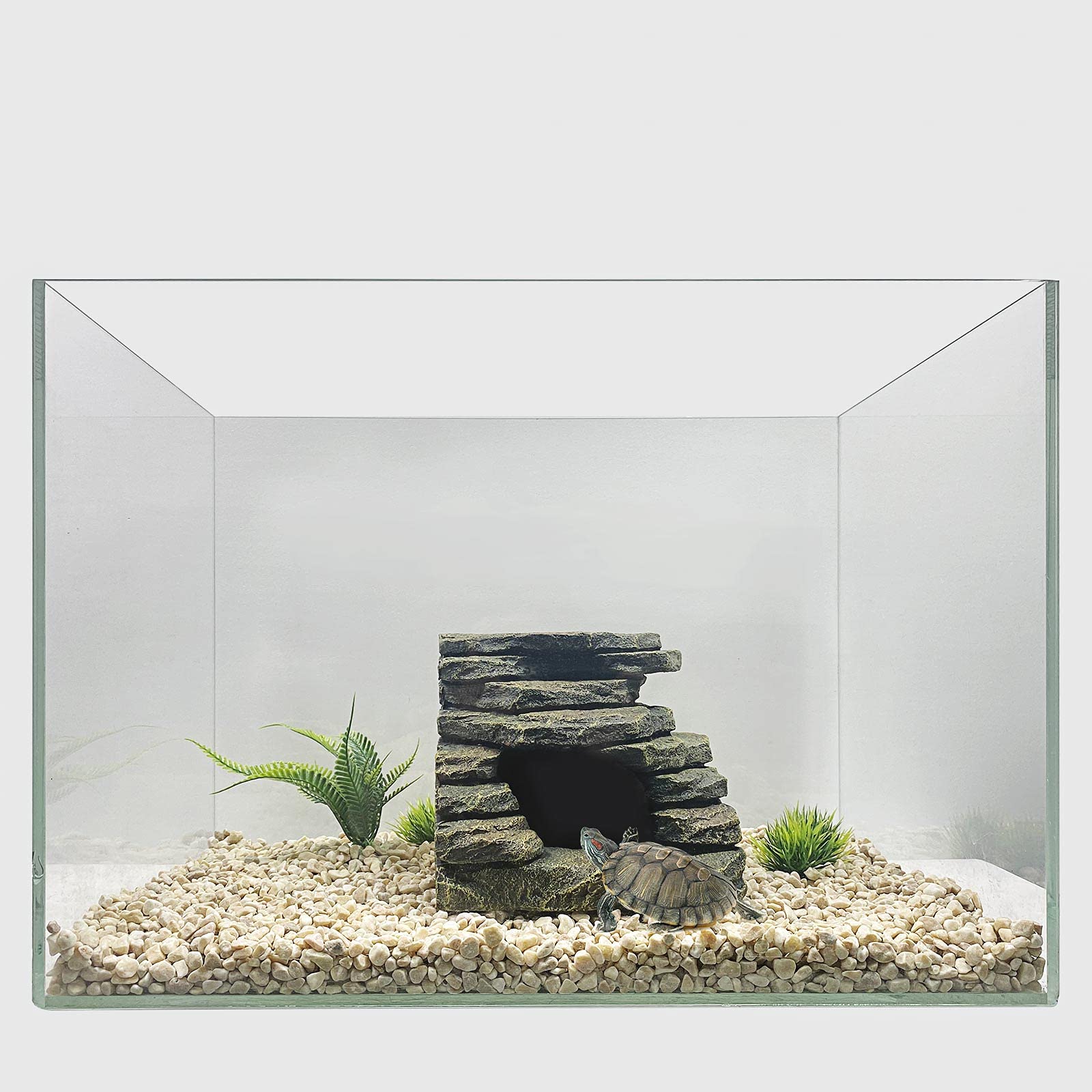 FEDOUR plantas pequeñas: complemento verde para acuario