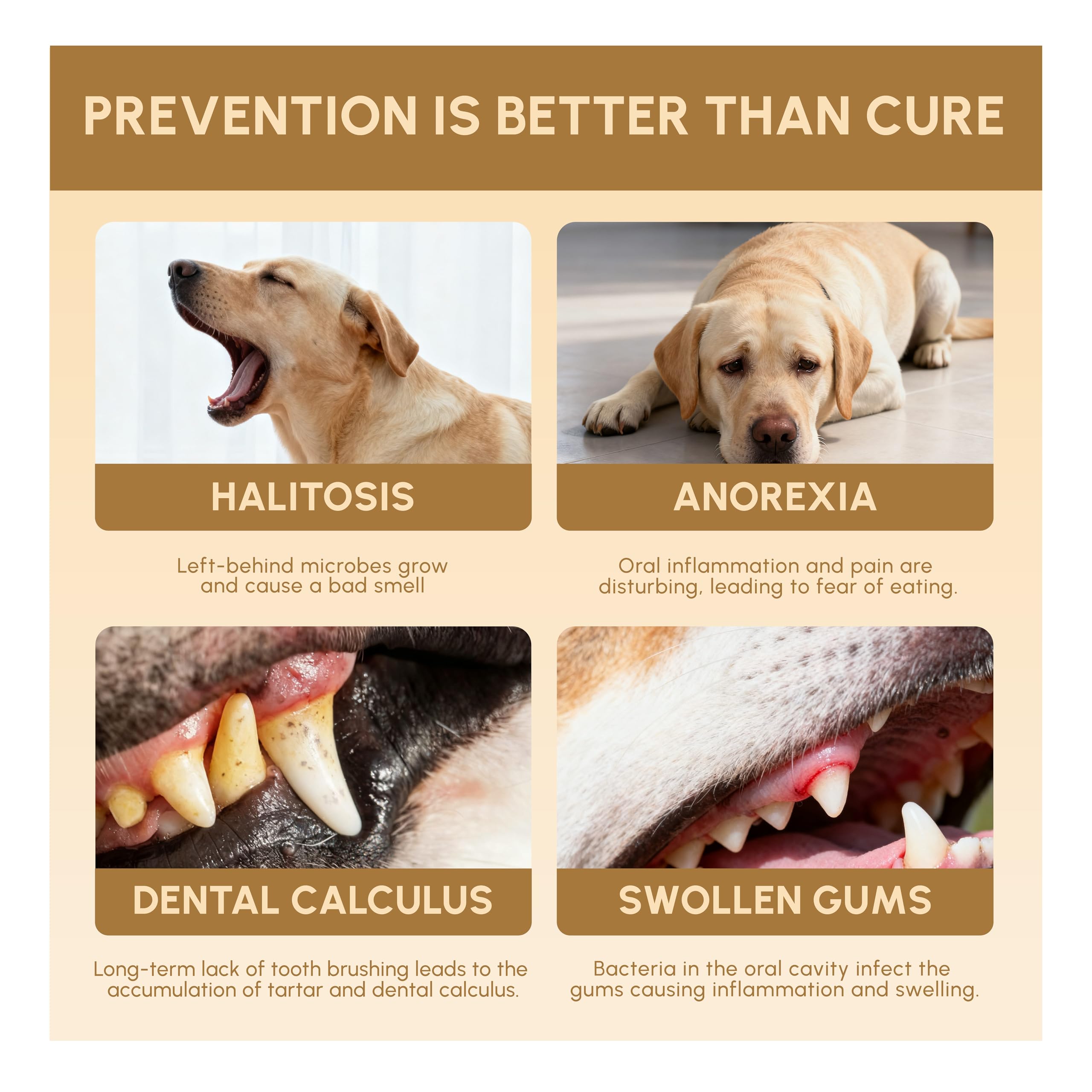 FEDPET cuida encías y dientes con extractos naturales