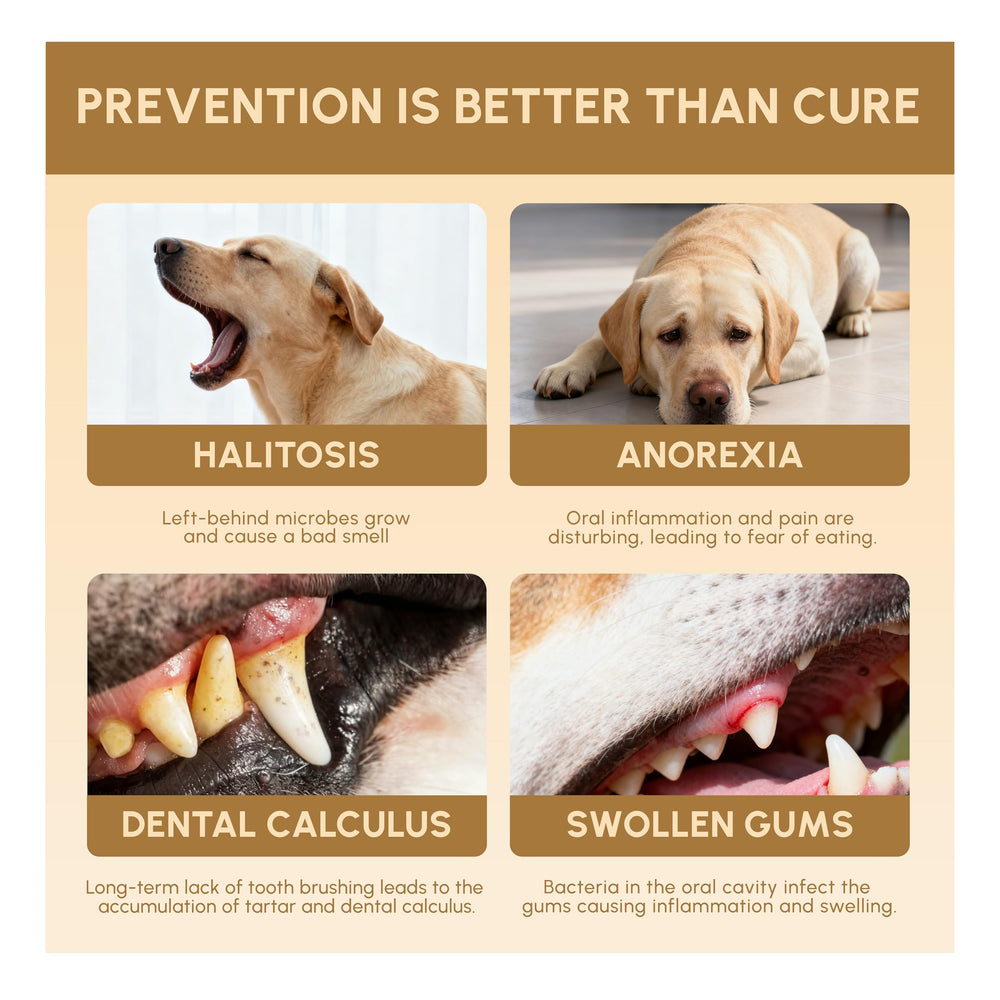 FEDPET cuida encías y dientes con extractos naturales