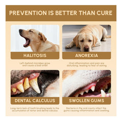 FEDPET cuida encías y dientes con extractos naturales