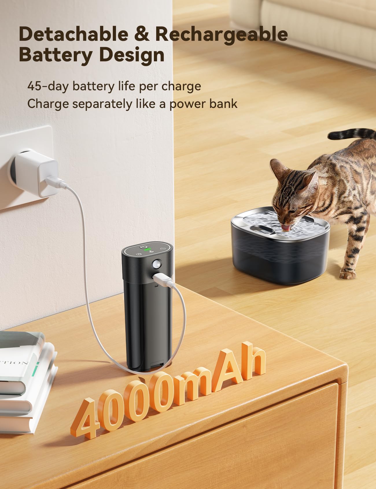 FEELNEEDY bebedero gato capacidad 4L para múltiples felinos