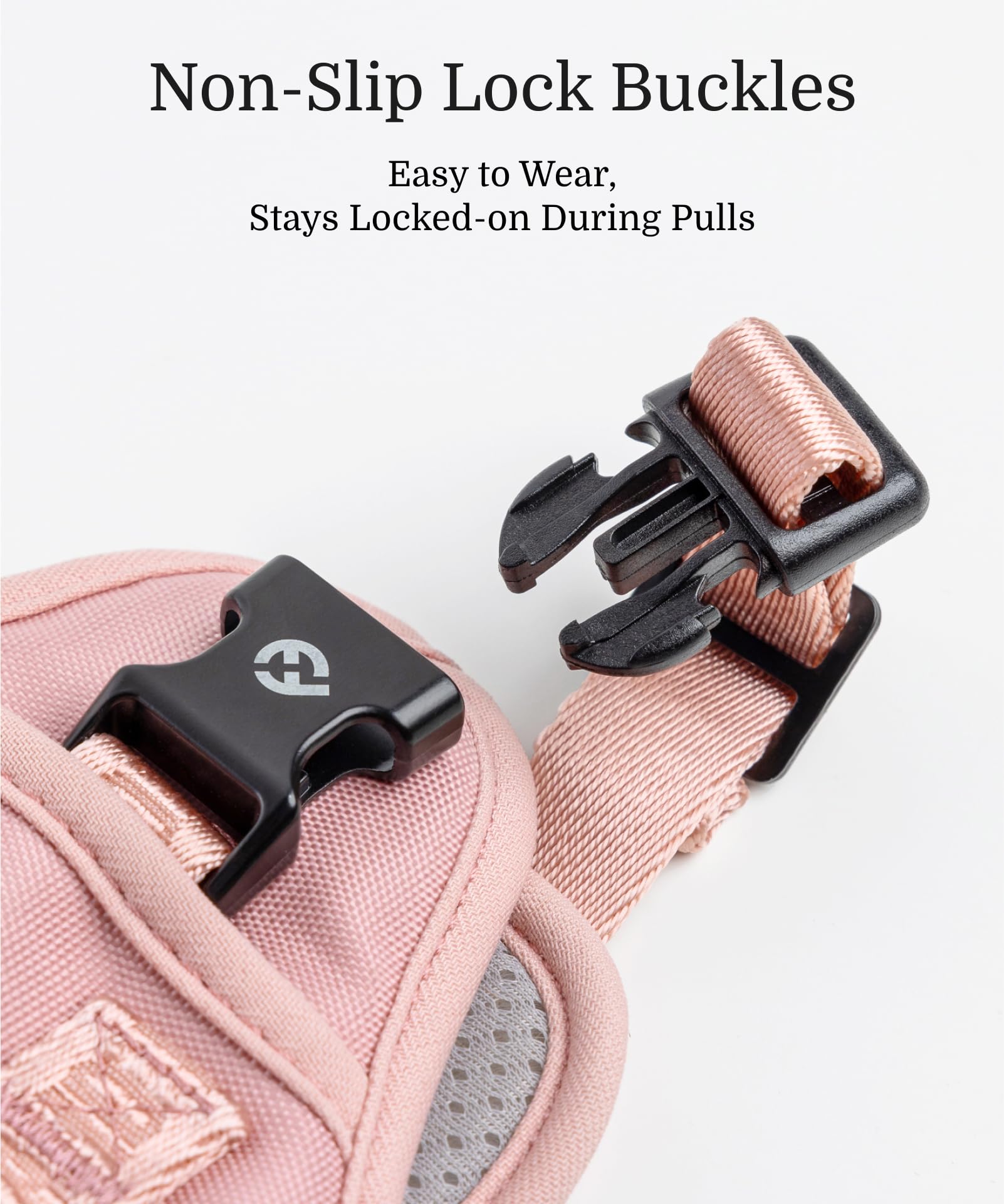 Fei y Eve: ajuste personalizable para adaptación óptima de cada perro.