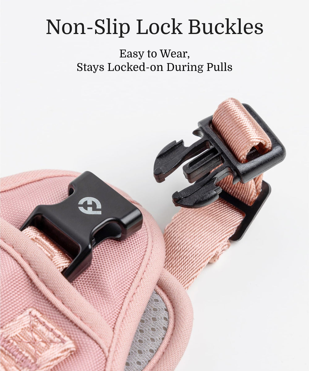 Fei y Eve: ajuste personalizable para adaptación óptima de cada perro.