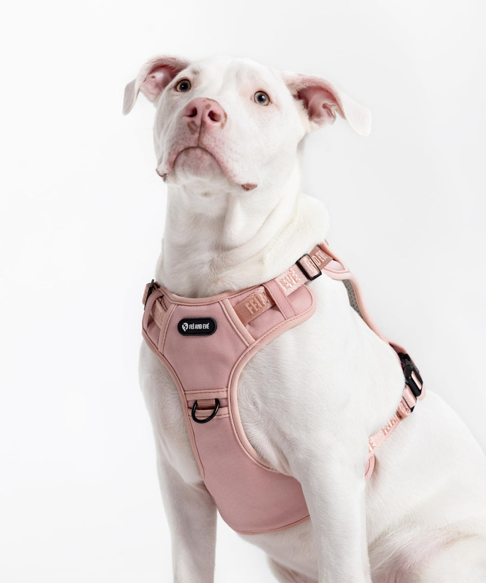 Fei y Eve MagEase, sistema Molle personalizable para accesorios
