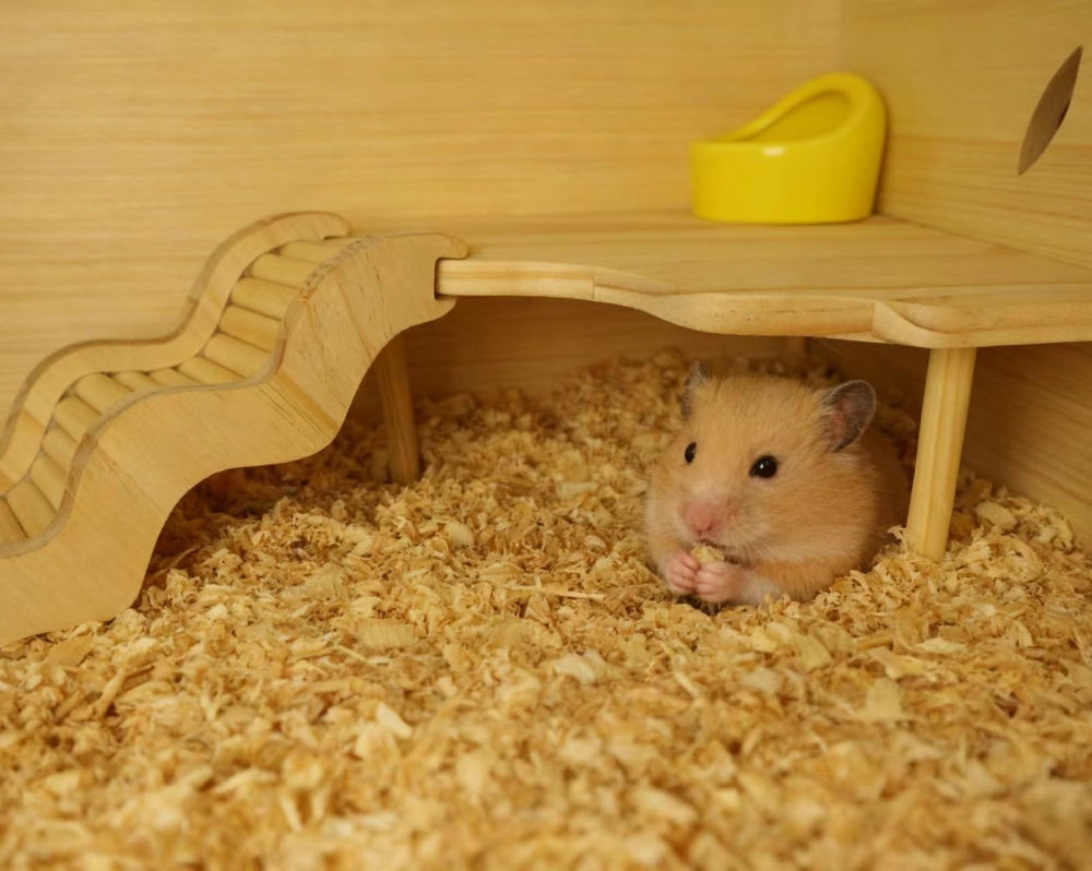 Feiena jaula con accesorios, compatibilidad y expansión para mini mascotas.