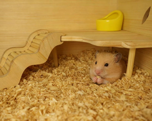 Feiena jaula con accesorios, compatibilidad y expansión para mini mascotas.