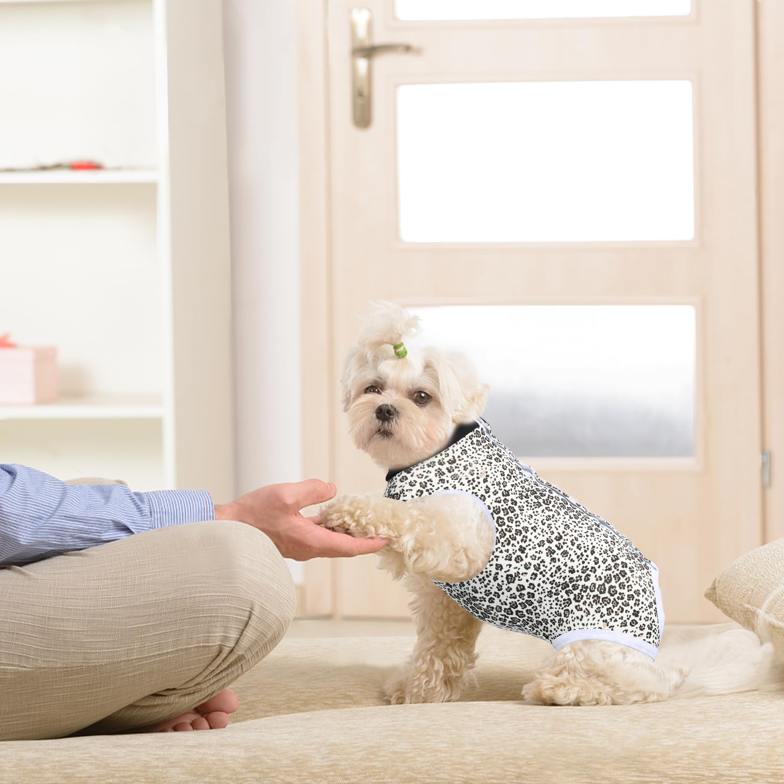 FEimaX prenda de recuperación para perro multiuso, útil para rascado leve y curación suave.