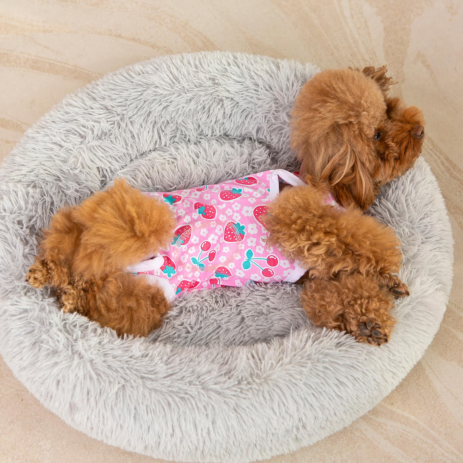 FEimaX traje recuperación alternativa al collar, permite comer