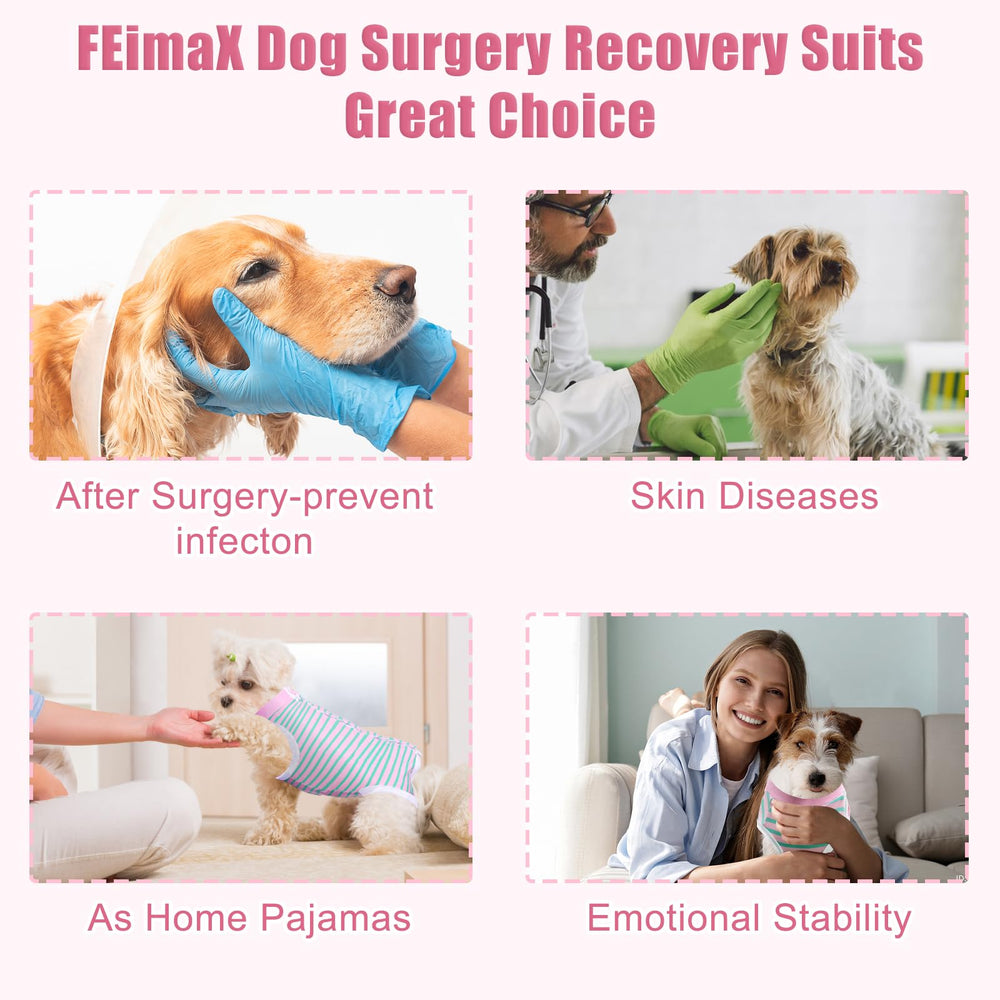 FEimaX traje recuperación perro, uso múltiple para esterilización y otros cuidados.