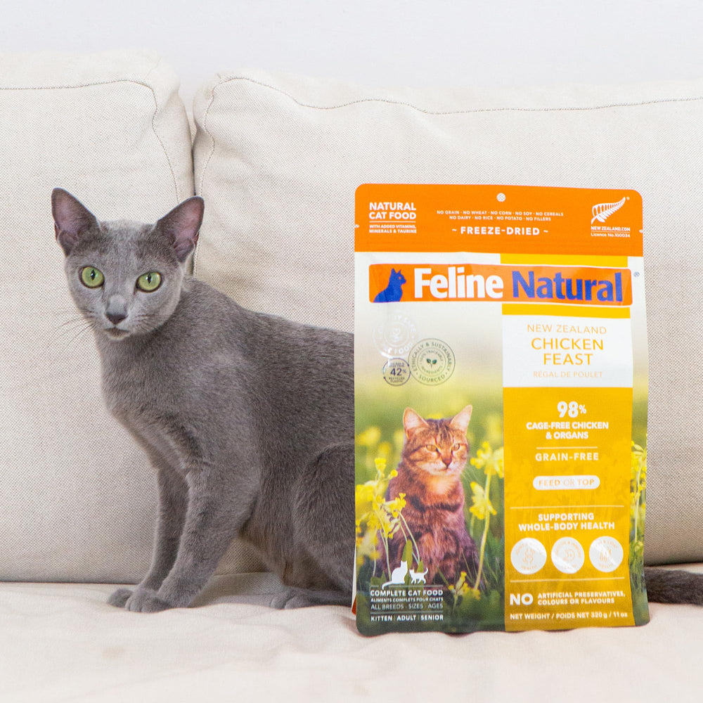 Feline Natural nutrición alineada metabólicamente, proteína biodisponible para energía sostenida.