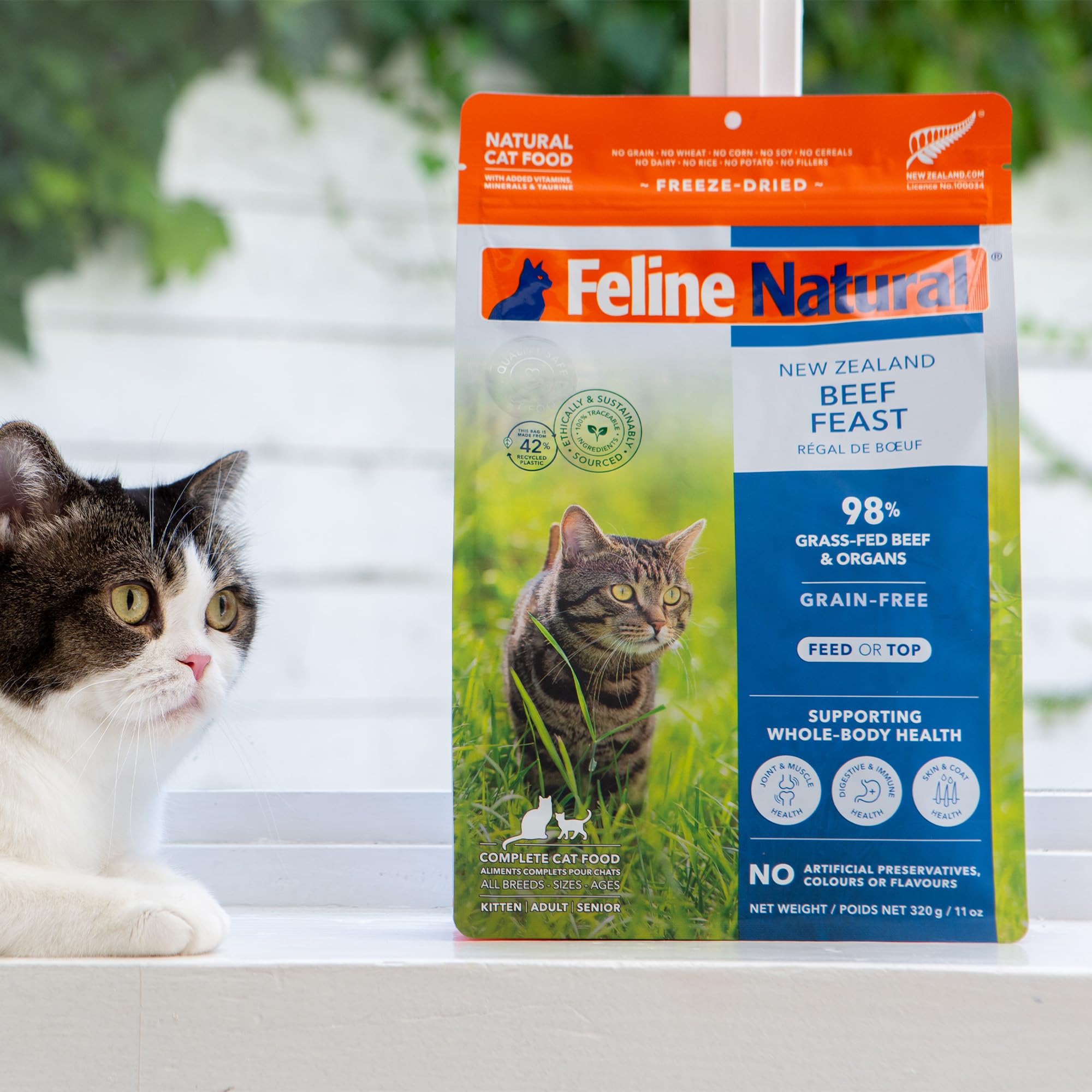 Feline Natural servir en tazón diario para una alimentación constante.