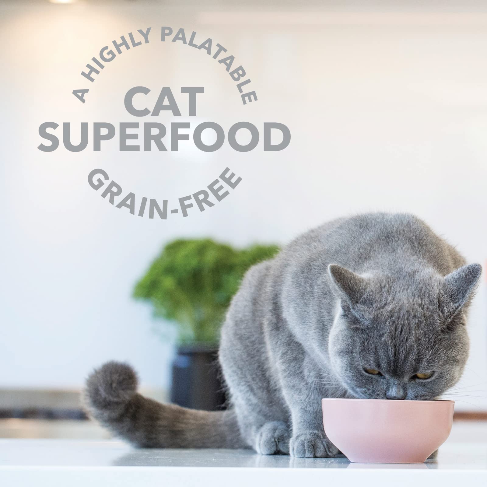 Tripa verde de cordero liofilizada de Feline Natural ofrece una dieta más atractiva.