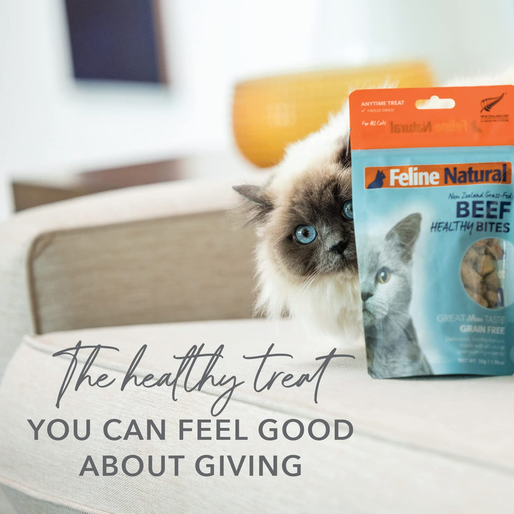 Proteína única de cordero de Feline Natural, fuente de energía para gatos.