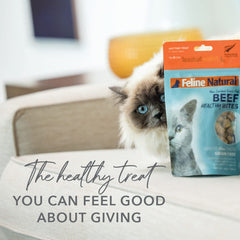 Proteína única de cordero de Feline Natural, fuente de energía para gatos.