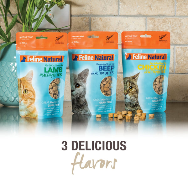 Feline Natural sin aditivos: snack simple y seguro para estómagos sensibles.