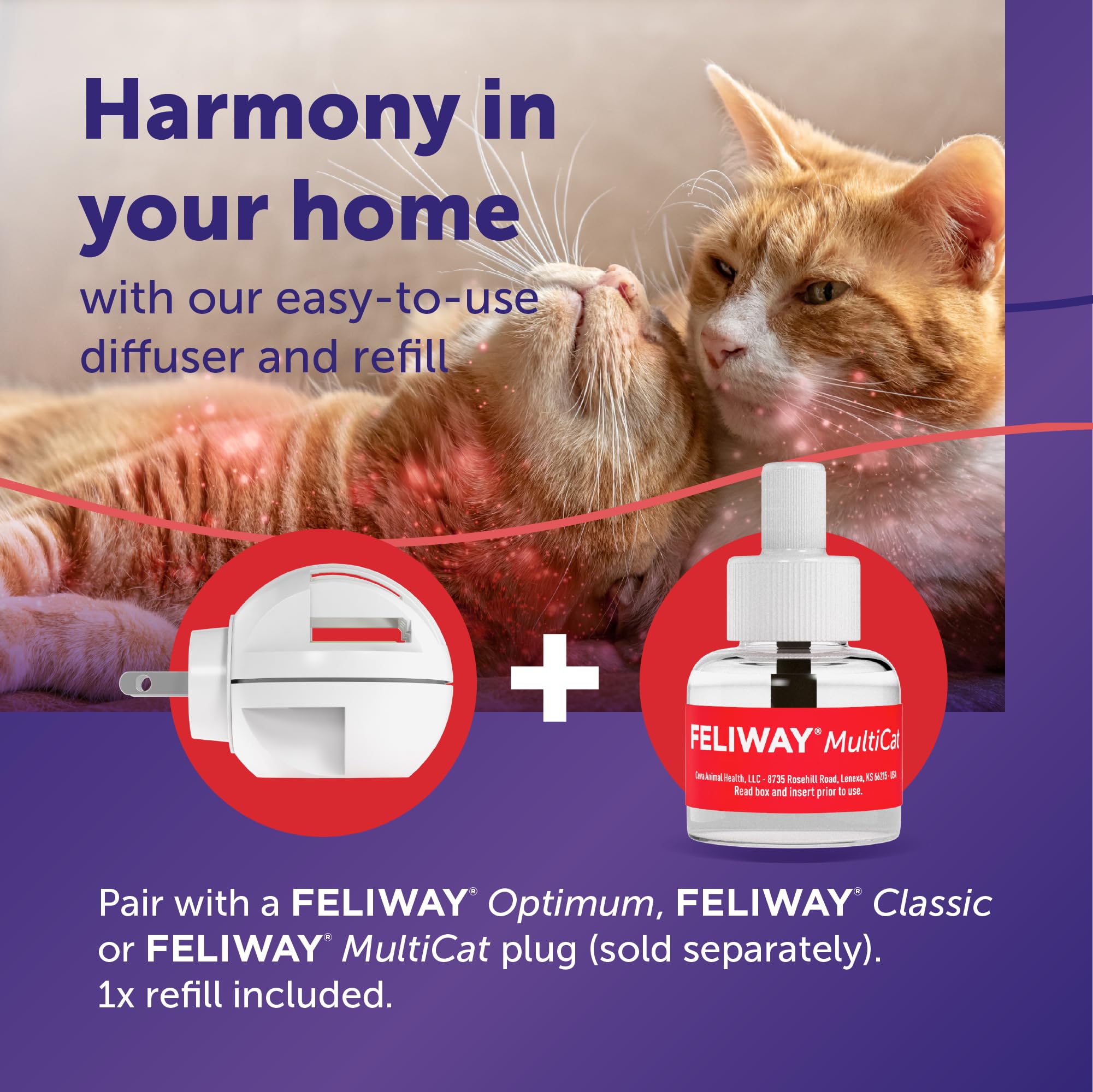 Ambiente calmo gracias a FELIWAY MultiCat, ayuda a reducir tensiones entre gatos.