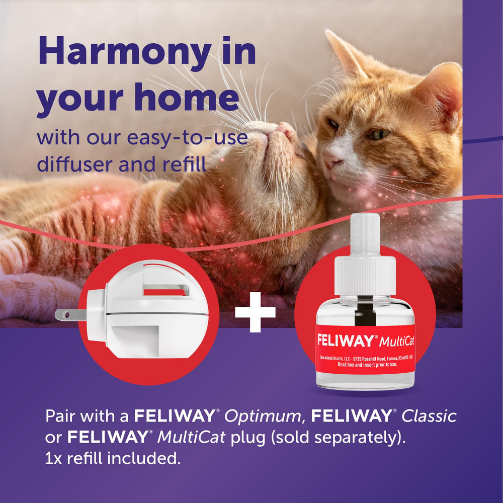Ambiente calmo gracias a FELIWAY MultiCat, ayuda a reducir tensiones entre gatos.
