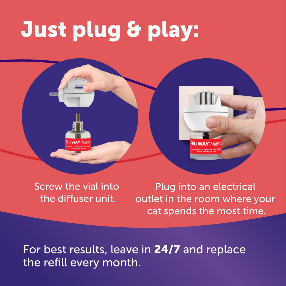 Apoyo para familias con varios gatos con FELIWAY MultiCat.