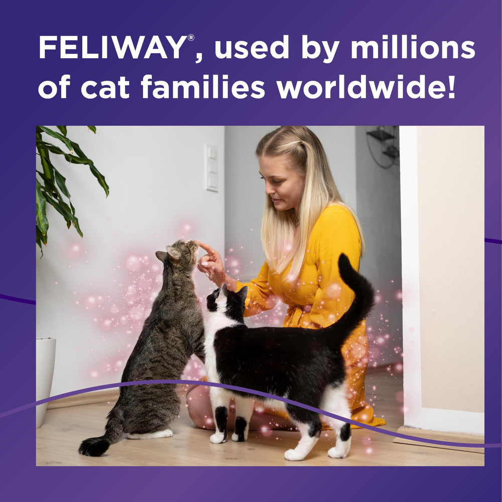 Conviviendo con FELIWAY MultiCat, reducción de conflictos entre gatos.
