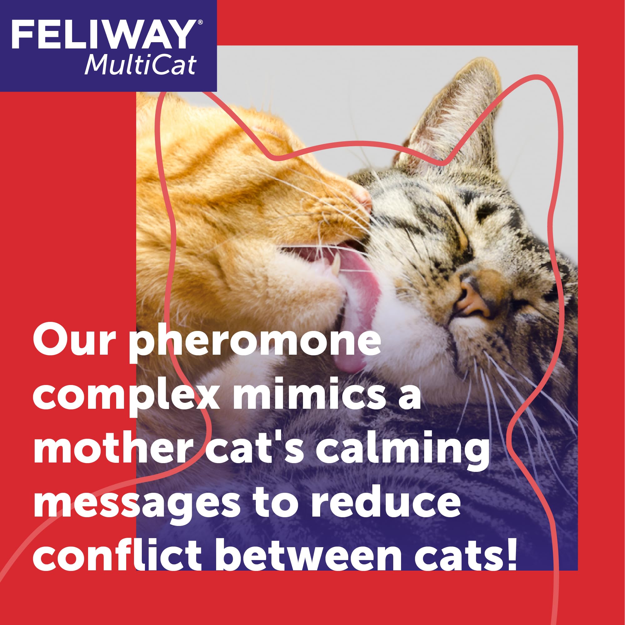 Uso sencillo de FELIWAY MultiCat, instalación rápida para hogares multi-gato.
