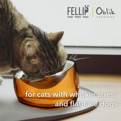 Felli Pet Oblik diseño 15° facilita la ingesta suave