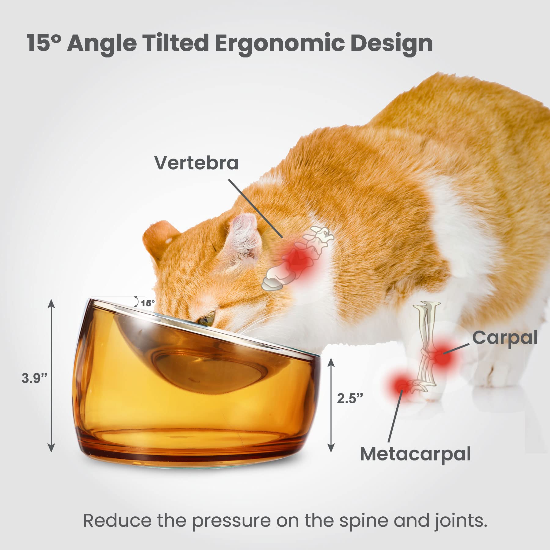 Felli Pet Oblik diseño estable evita vuelcos durante las comidas