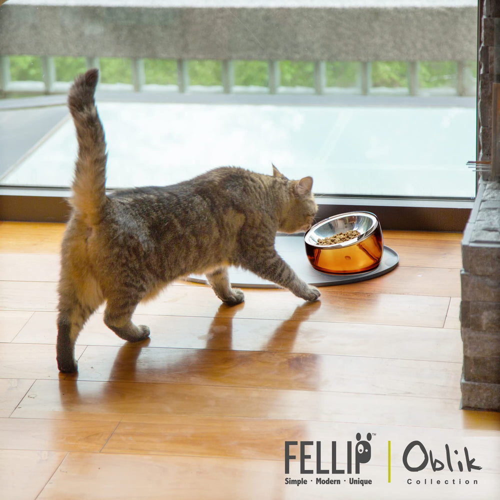 Felli Pet Oblik plato profundo para alimentos evita derrames