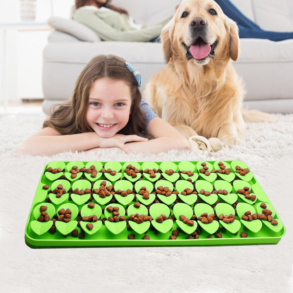 Entrenamiento de olfato con Femont Snuffle para mascotas