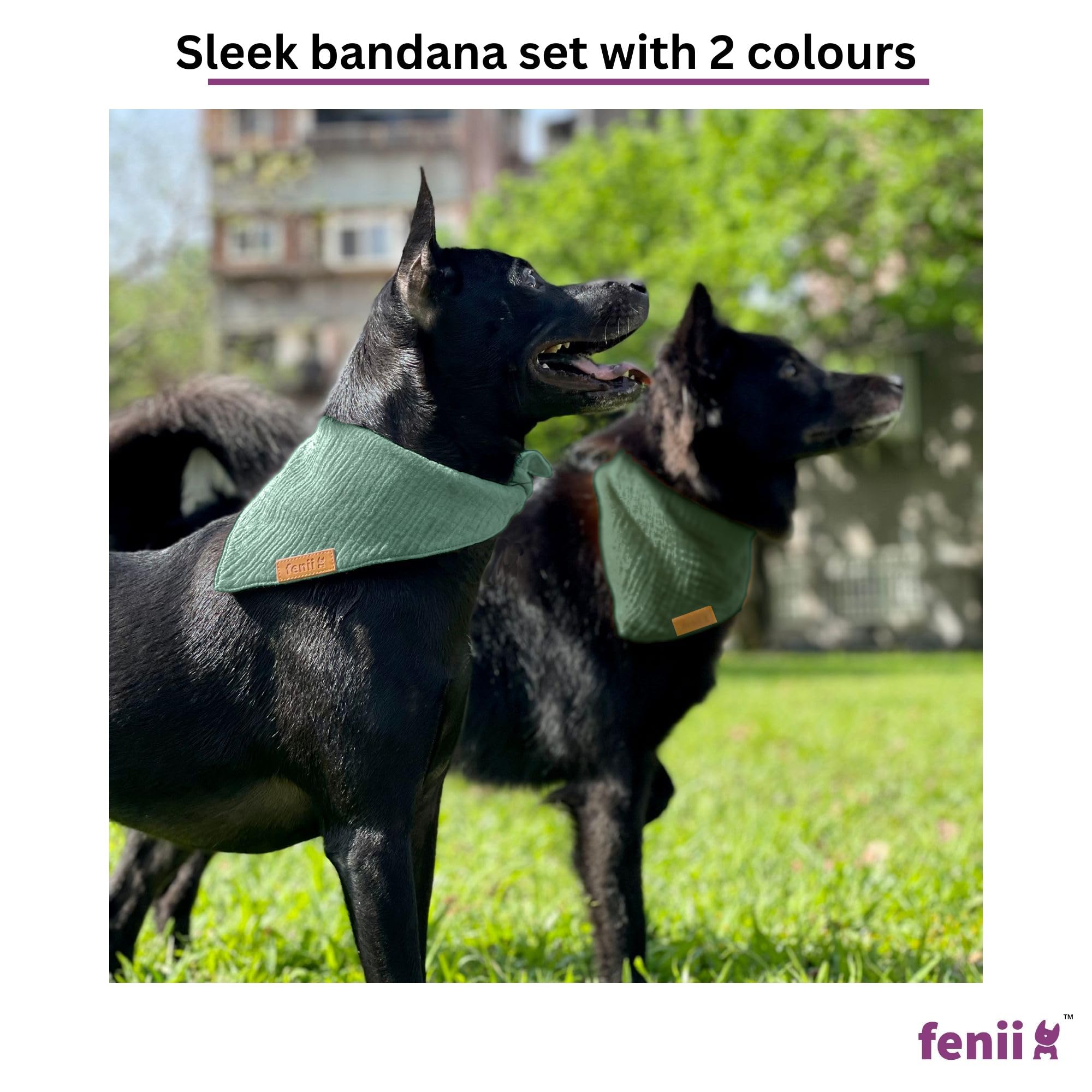 Bandana fenii de algodón verde aguamarina para perros pequeños, lavado fácil.
