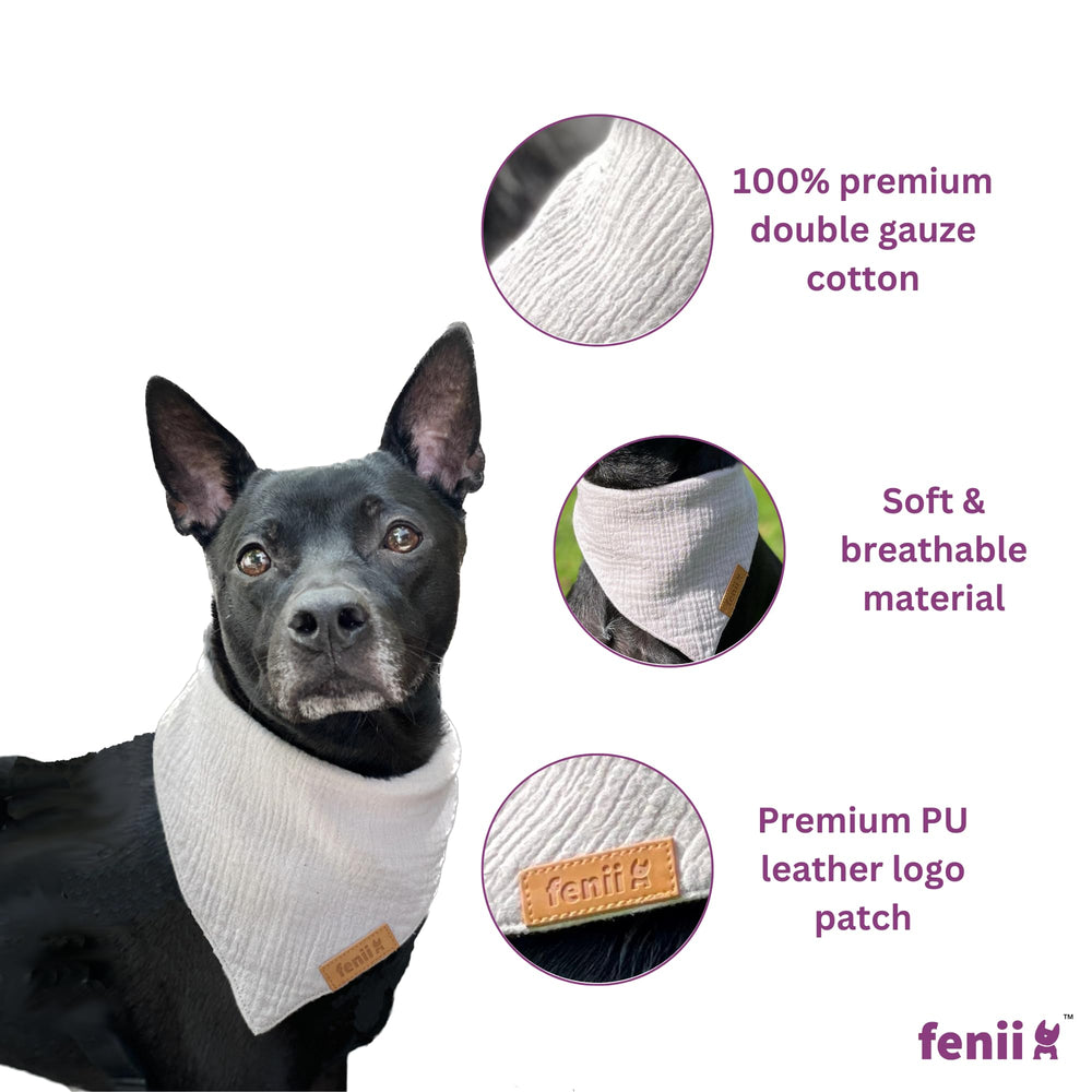 Conjunto de 2 piezas fenii, regalo ideal para amantes de perros.