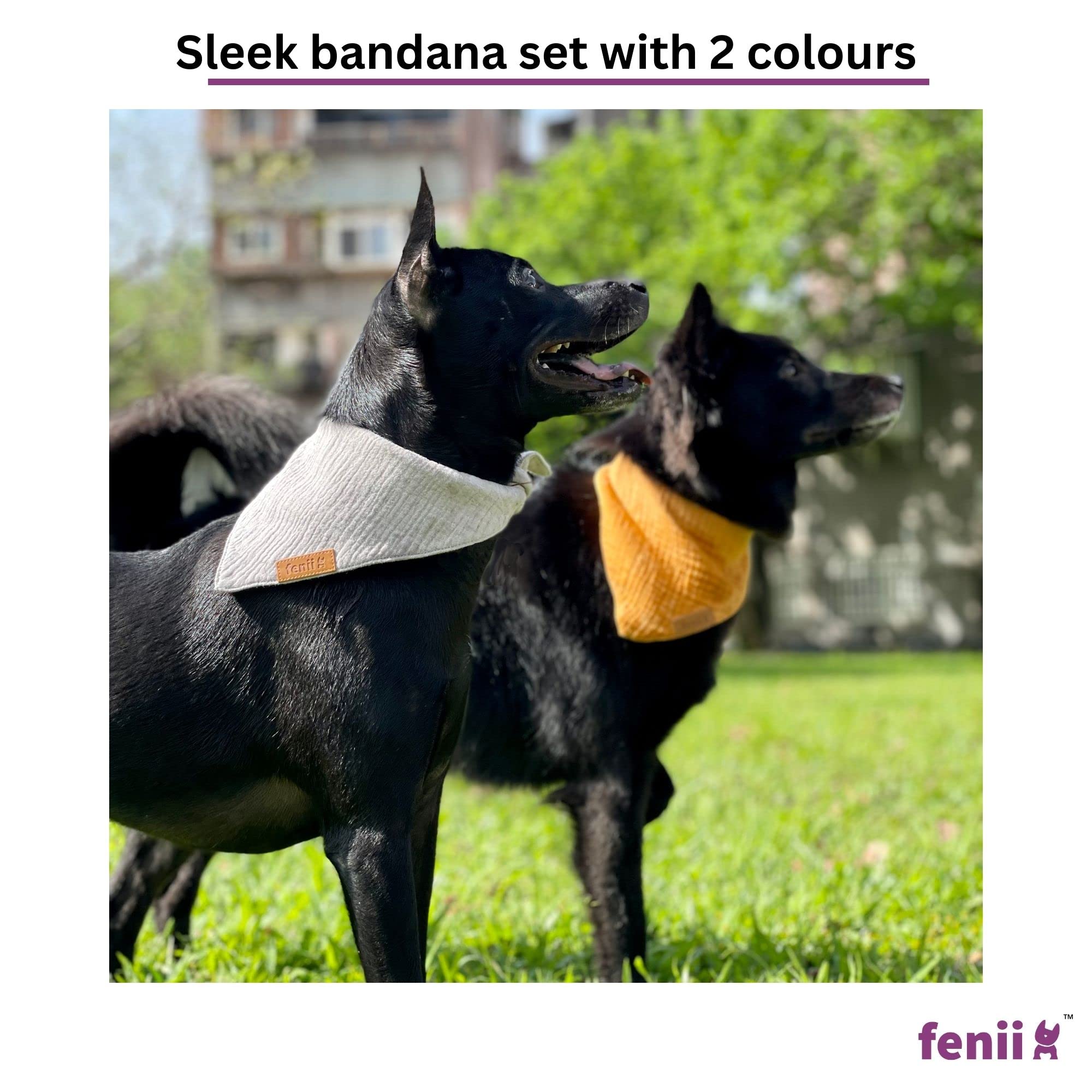 Bandana fenii gris de algodón con doble capa, para estilo diario.