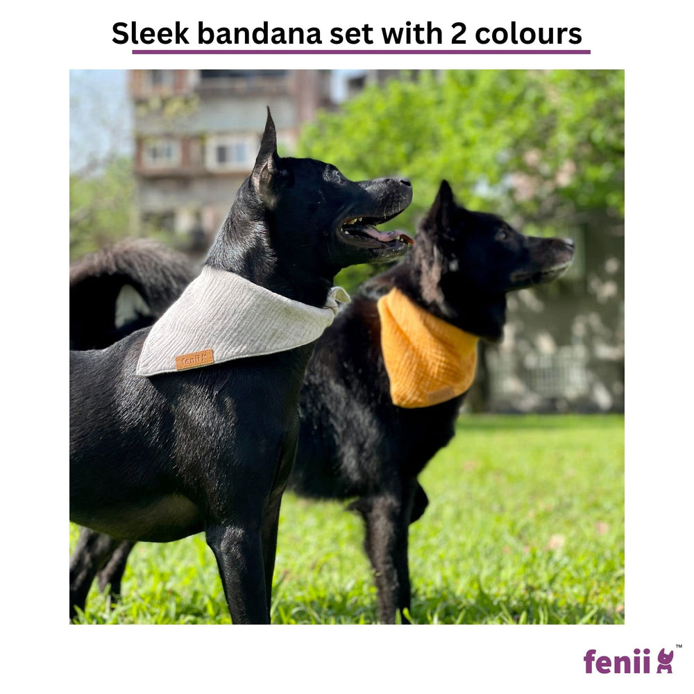 Bandana fenii gris de algodón con doble capa, para estilo diario.