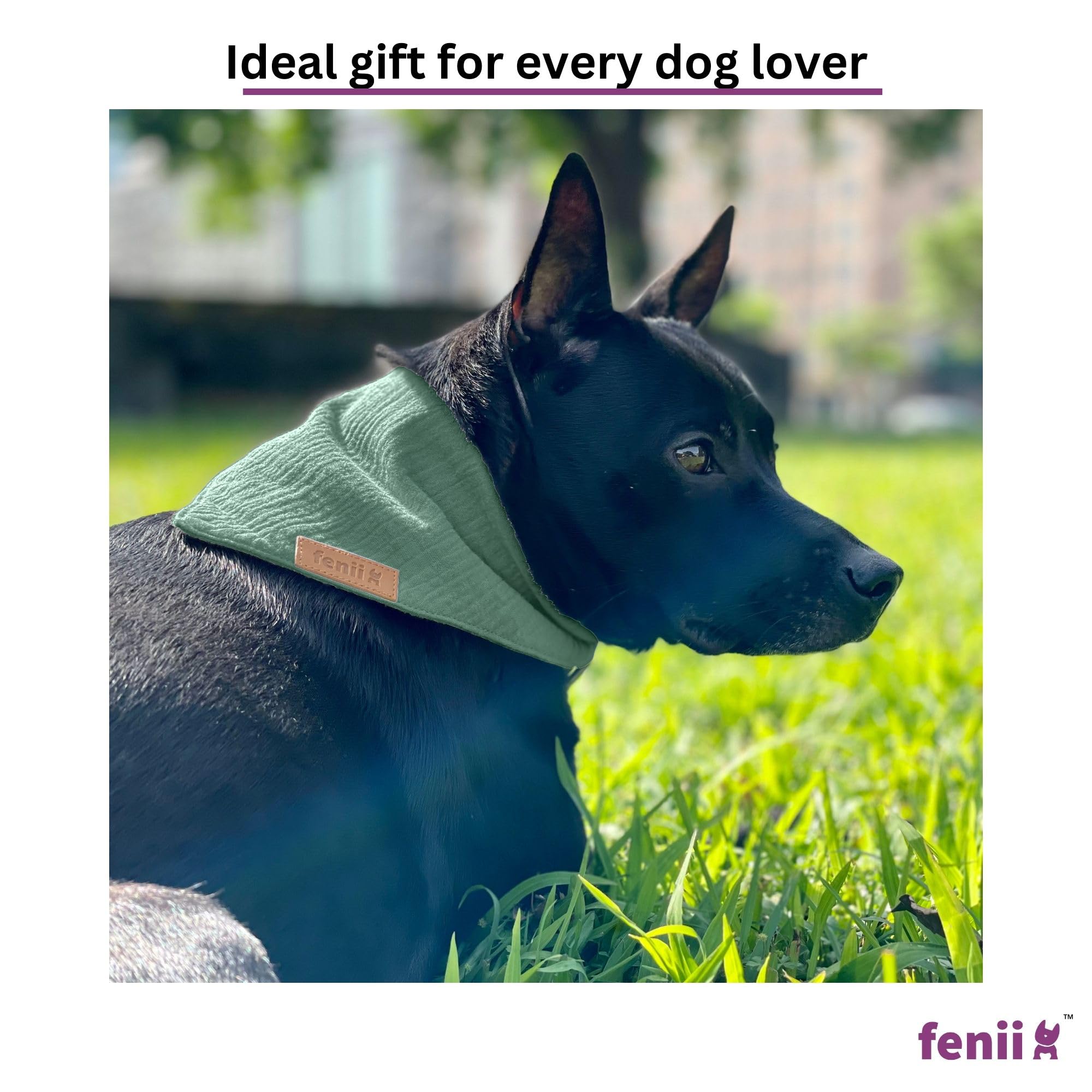 Conjunto de dos bandanas fenii para perros, colores verde bosque y aguamarina.