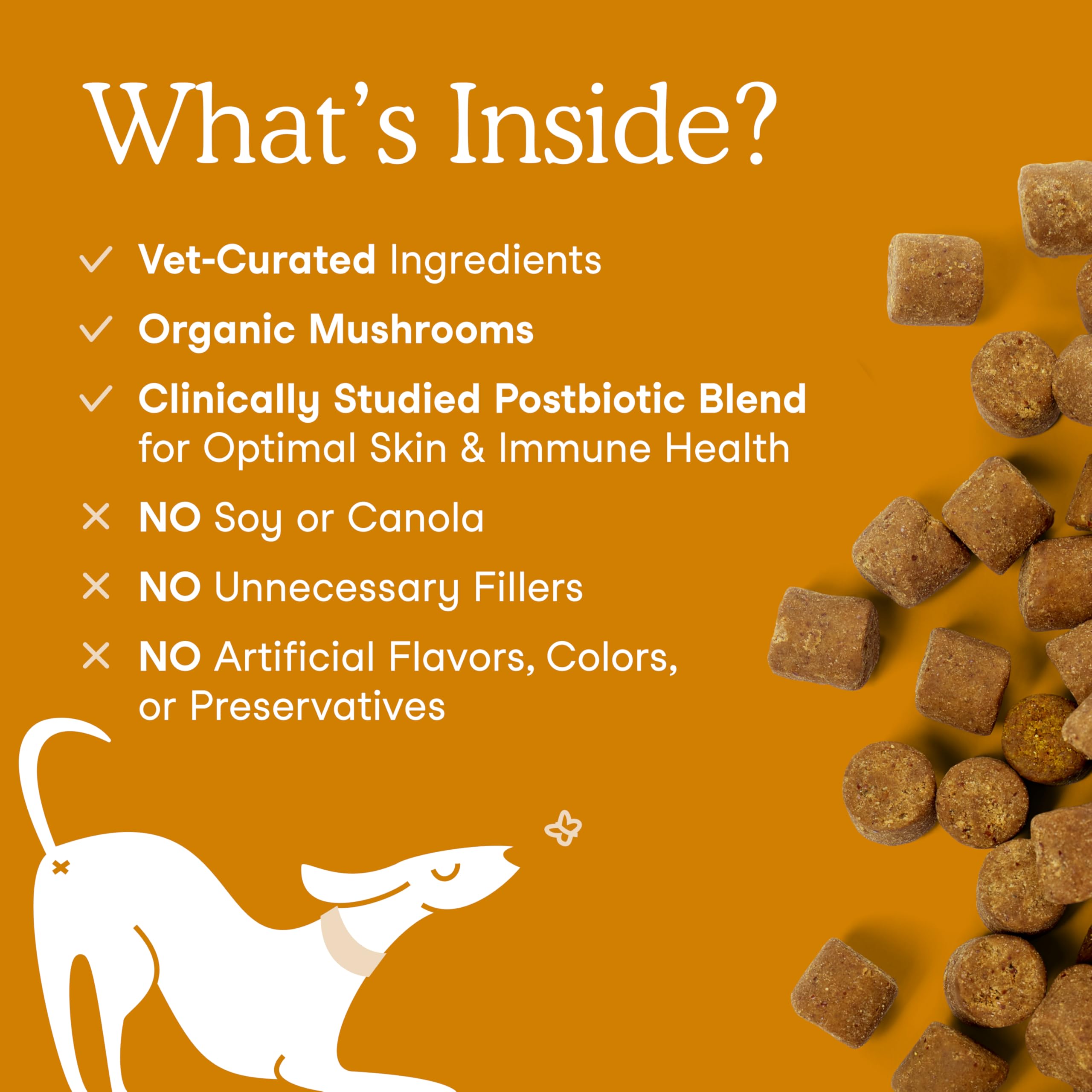 Fera Pets Alergia Perros Reishi y Chaga: respaldo natural para la inmunidad.