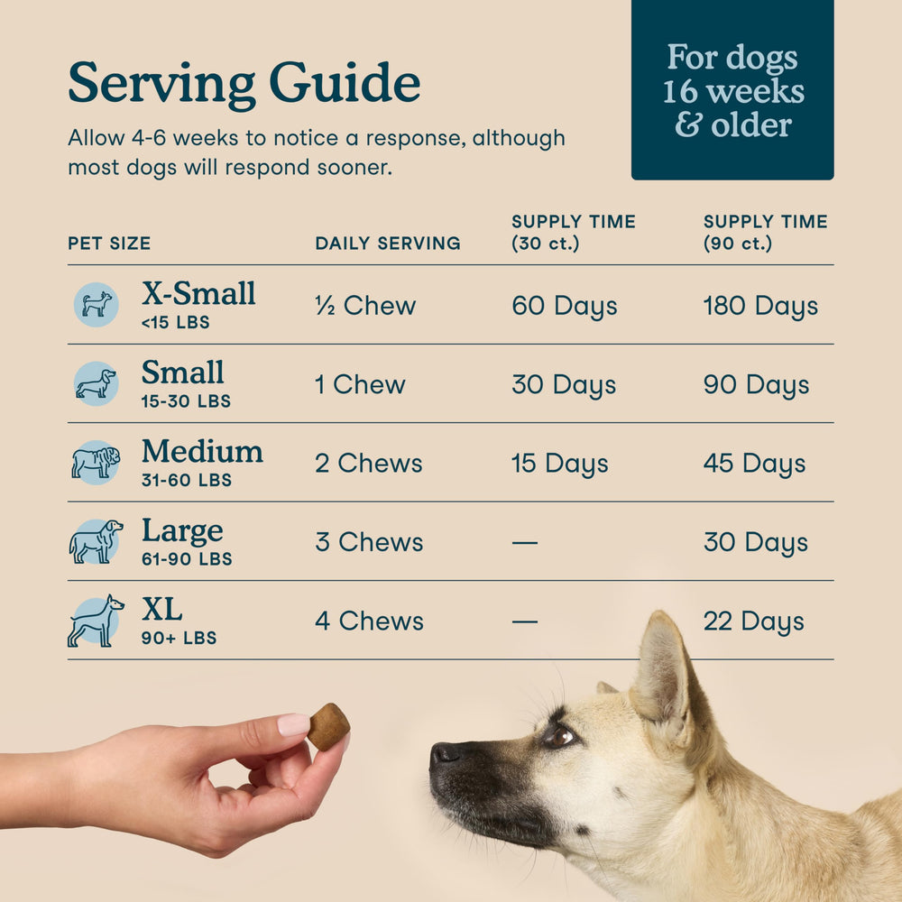 Apoyo a articulaciones y movilidad con Fera Pets para perro.